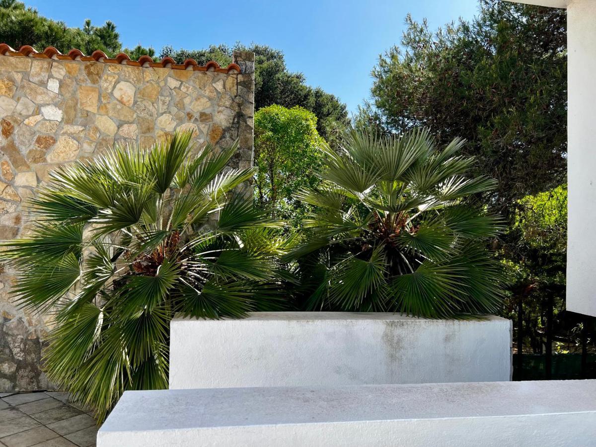 Estoril dream Villa Exterior foto